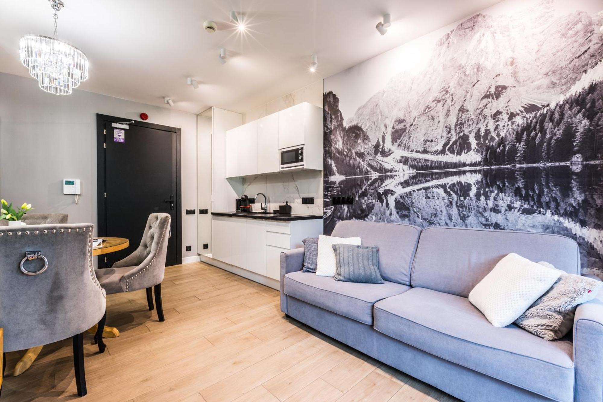 Deluxe One-Bedroom Apartment