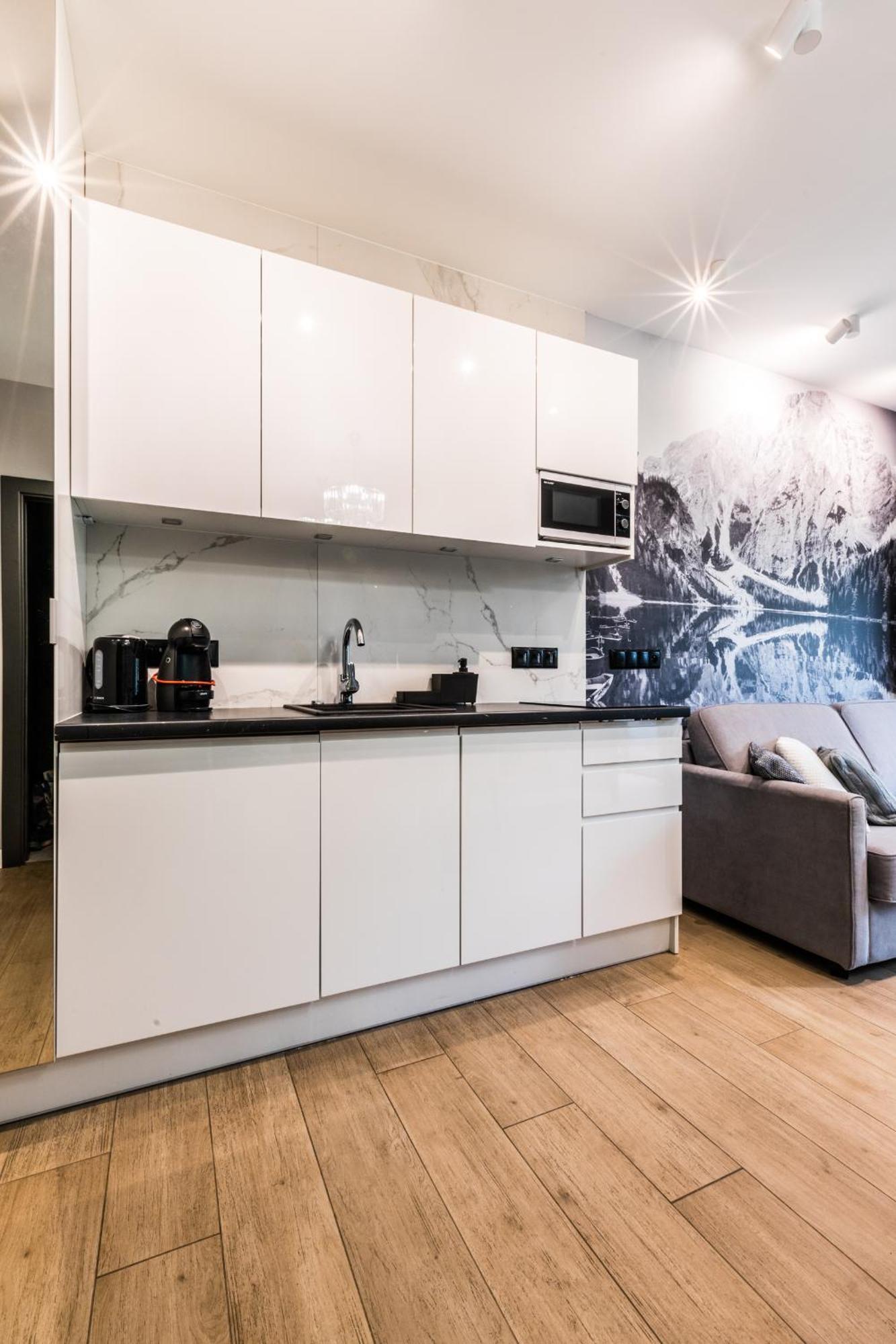 Deluxe One-Bedroom Apartment